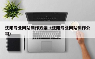 枣庄沈阳专业网站制作方案（沈阳专业网站制作公司）